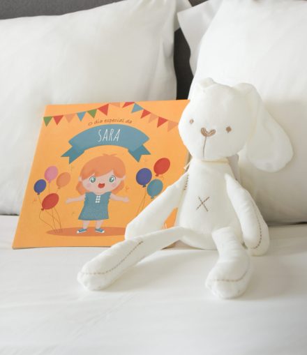 Box Livro “O Dia Especial” + 6 Livros de Pintar + 6 Caixas de Lápis de Cera + Peluche Coelho